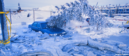 Risk lessons from natural disasters