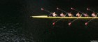 Four traits of winning companies