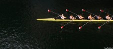 Four traits of winning companies