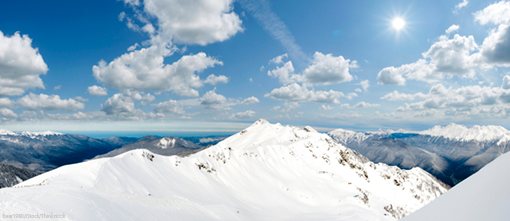 PwC offers model for medal success in Sochi
