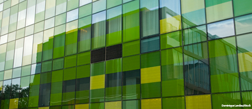 Why natural capital should be on your board’s agenda
