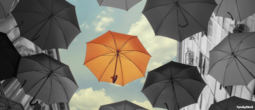 How leading tech companies decide which ideas make the cut