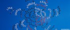 8 best practices for aligning strategy, planning, and risk