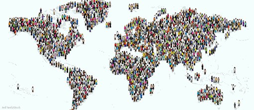 The case for cultural intelligence