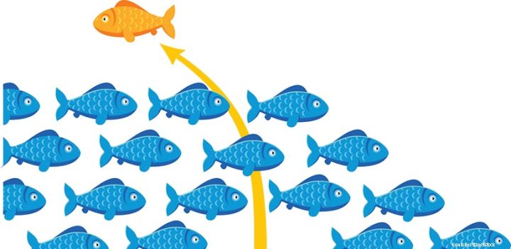 6 lessons entrepreneurs can teach us