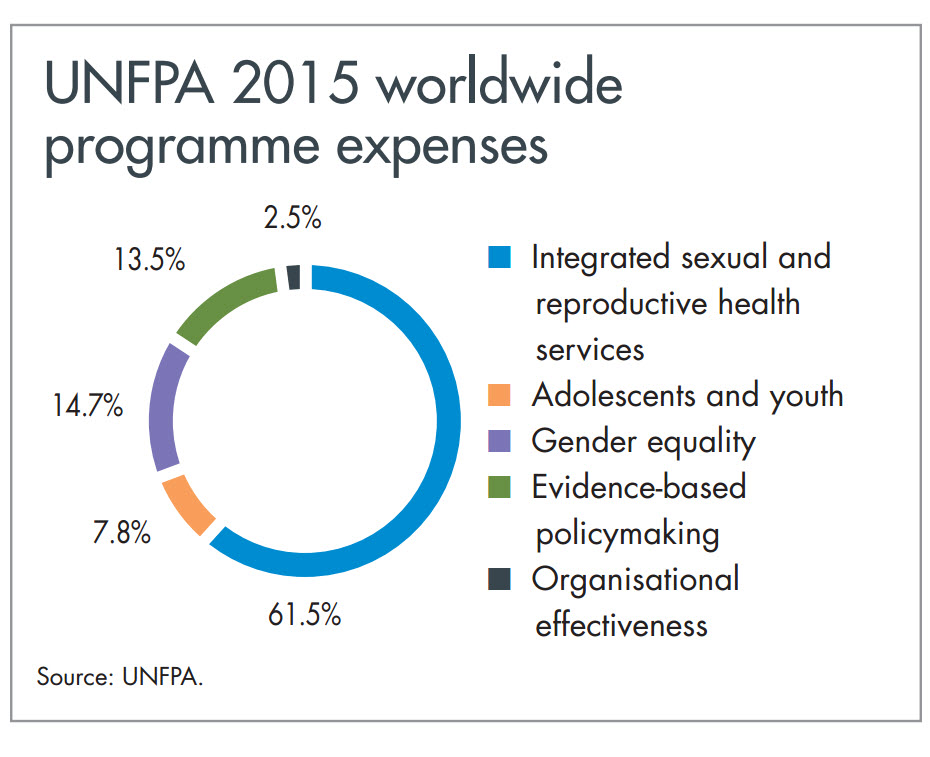 UNFPA 2015 worldwide programme expenses unfpa-expenses