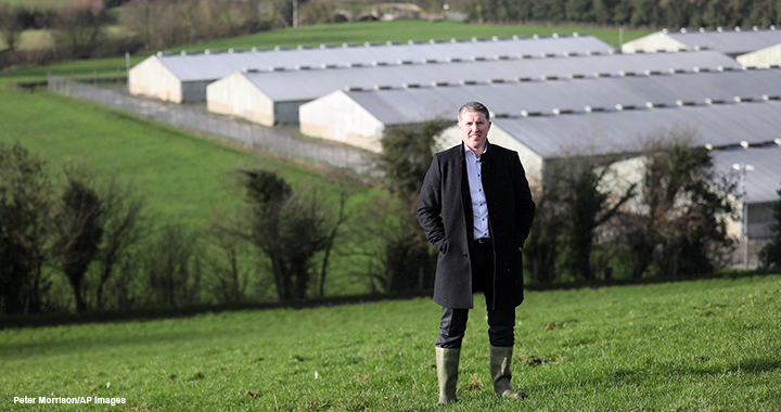 Micheál Briody, FCMA, CGMA, the CEO of Silver Hill Foods