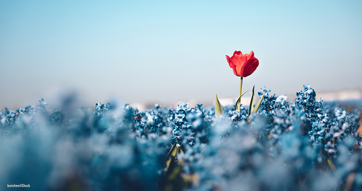 4 skills and experiences that can set finance professionals apart