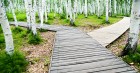 Consultancy: another path for finance professionals