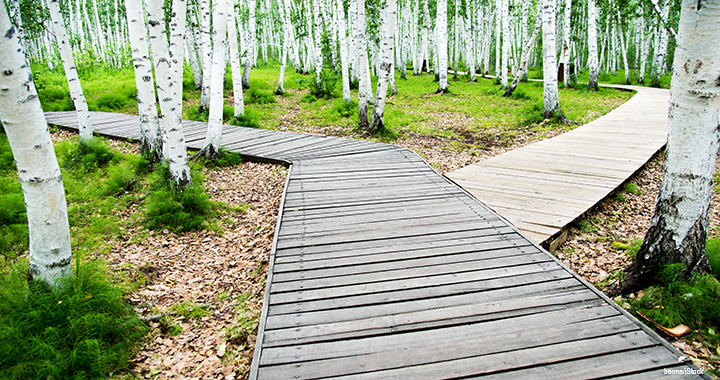 Consultancy: another path for finance professionals