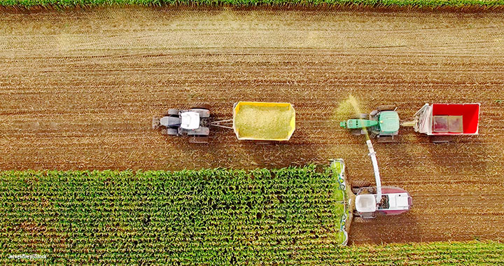 Rooting out forced labour from supply chains
