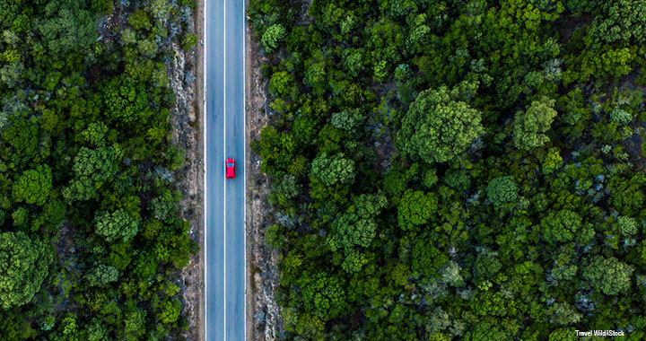 Association sets out 2021 sustainability road map for accountants