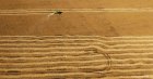 A combine harvests soya beans in a village in Russia’s Far East region that borders China’s northeastern Heilongjiang province.