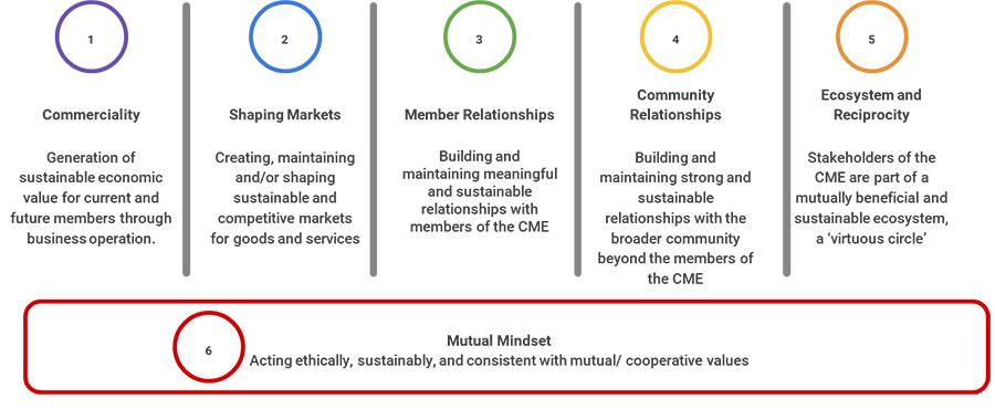 Dimensions of mutual value (developed by the project team) dimensions-mutual-value