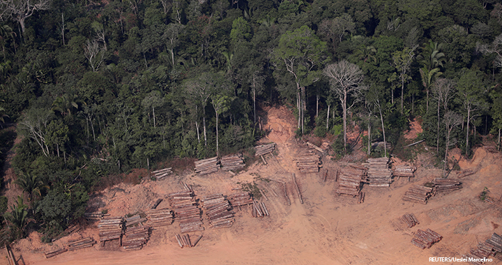 An aerial view of logs illegally cut from Amazon rainforest are seen in sawmills near Humaita, Amazonas State, Brazil.