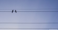 Empathy as an antidote to uncertainty