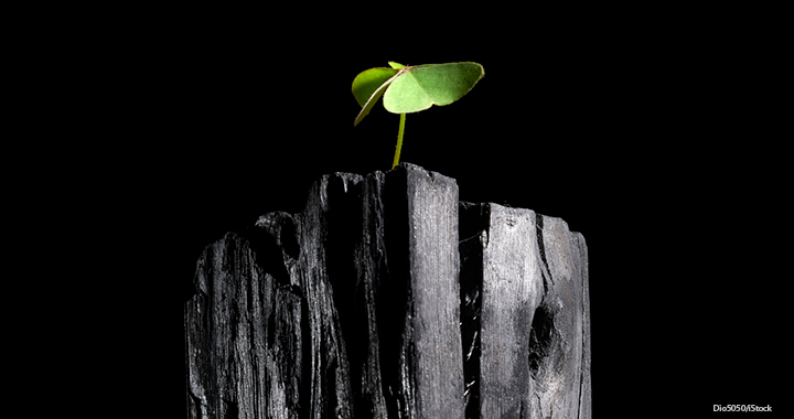 How resilient is your company to future risks?
