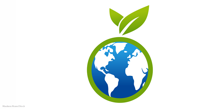 Beyond sustainability reporting: Embedding ESG in strategy