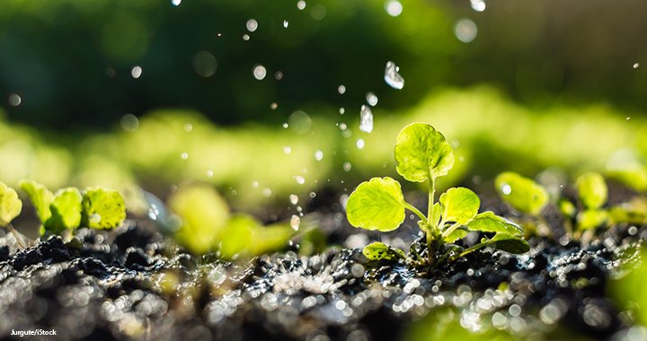 A 'responsible finance' team's 3-step business partnering approach