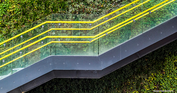 Getting to the heart of ESG: An investor’s perspective