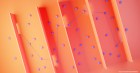 5 key steps for discovering the skills gaps at your business