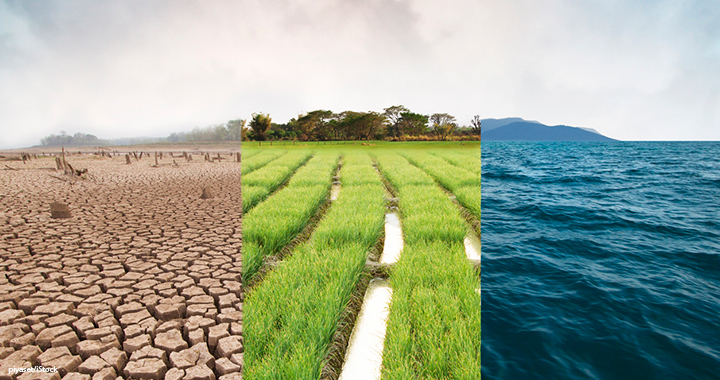 What boards should know about climate change and value creation