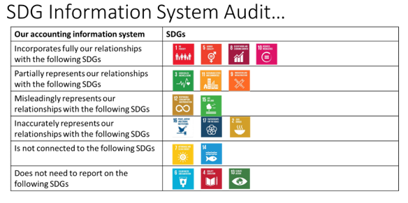 sdg-information-system-audit