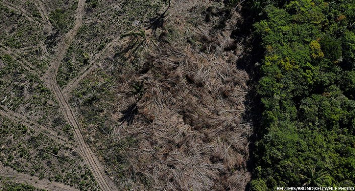 A deforested plot of the Amazon rainforest in Manaus, Amazonas State, Brazil, 8 July 2022.