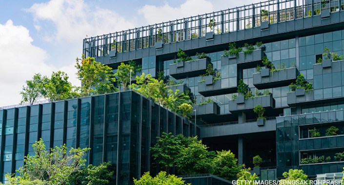 5 ways to incorporate sustainability practices in the workplace