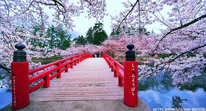 Changing roles: CFOs in Asia-Pacific grapple with ESG