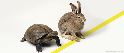 Nimble thinking takes the lead