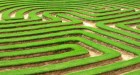 A 5-stage corporate ESG road map for reporting readiness